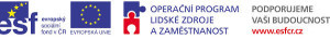 stažený-soubor-1-300x36 (1)